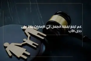 تشير الصورة إلى مقال يتحدث عن نفقة الأفطال في الإمارات، إذ تتضمن هذه المقال كم مقدار النفقة بناء على دخل الأب، وذلك في إمارات دبي، أبو ظبي، الشارقة، عجمان